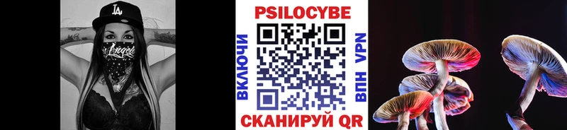 ОМГ ОМГ зеркало  Новомосковск  Псилоцибиновые грибы MAGIC MUSHROOMS  цены  